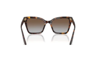 Vista posteriore Emporio Armani EA4273BU (502689)