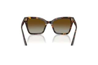 Vista posteriore Emporio Armani EA4273BU (5026T5)