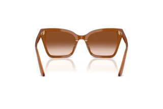 Vista posteriore Emporio Armani EA4273BU (637613)