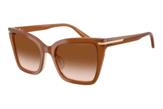 Vista frontale Emporio Armani EA4273BU (637613)