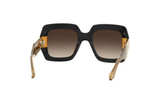 Vista posteriore Etro ETRO 0011/S (71C/HA)