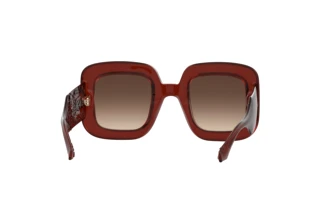 Vista posteriore Etro ETRO 0015/S (2LF/HA)