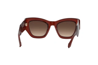 Vista posteriore Etro ETRO 0017/S (2LF/HA)