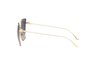 Vista laterale Etro ETRO 0021/S (000/UY)