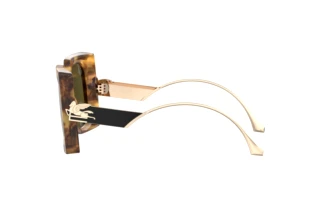 Vista laterale Etro ETRO 0026/S (EPZ/QT)