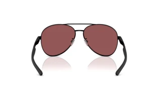 Vista posteriore Ferrari Scuderia FZ5002D (101/1E)