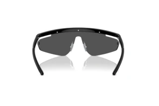 Vista posteriore Ferrari Scuderia FZ6001 (501/87)