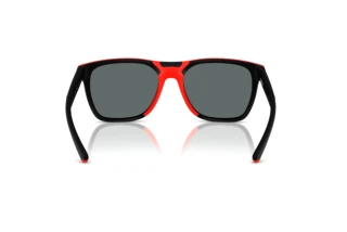 Vista posteriore Ferrari Scuderia FZ6013D (504/81)