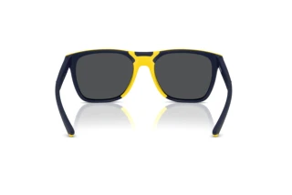 Vista posteriore Ferrari Scuderia FZ6013D (509/55)