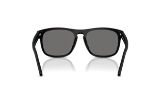 Vista posteriore Ferrari Scuderia FZ6020U (701/81)