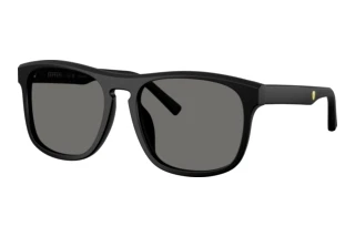 Vista frontale Ferrari Scuderia FZ6020U (701/81)