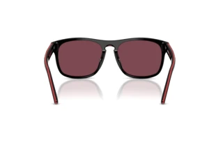 Vista posteriore Ferrari Scuderia FZ6020U (741/1E)