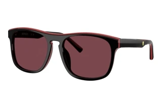 Vista frontale Ferrari Scuderia FZ6020U (741/1E)