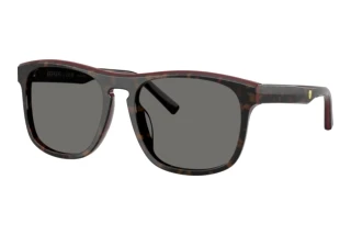 Vista frontale Ferrari Scuderia FZ6020U (742/81)