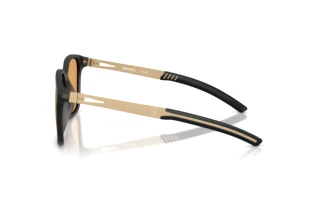 Vista laterale Ferrari Scuderia FZ6025D (531/8N)