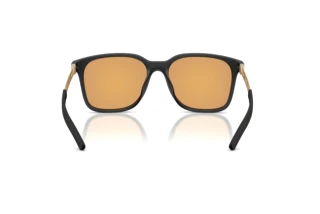 Vista posteriore Ferrari Scuderia FZ6025D (531/8N)