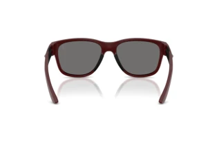 Vista posteriore Ferrari Scuderia FZ6028U (530/81)