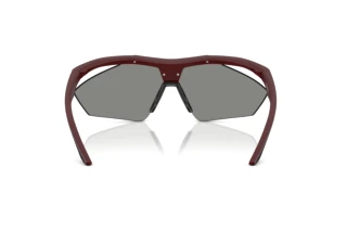 Vista posteriore Ferrari Scuderia FZ6030U (514/87)