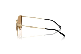 Vista laterale Giorgio Armani AR6155 (301313)