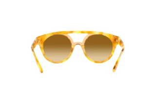 Vista posteriore Giorgio Armani AR8163 (57612L)