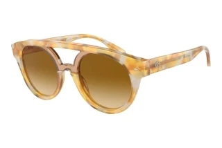 Vista frontale Giorgio Armani AR8163 (57612L)