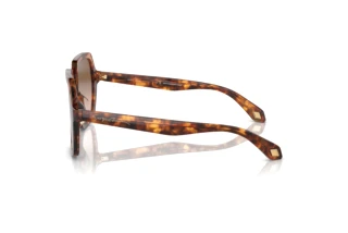 Vista laterale Giorgio Armani AR8193U (603351)