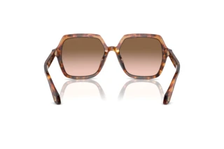 Vista posteriore Giorgio Armani AR8193U (603351)