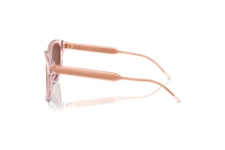 Vista laterale Giorgio Armani AR8210U (6073C5)