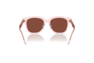 Vista posteriore Giorgio Armani AR8210U (6073C5)