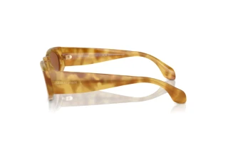 Vista laterale Giorgio Armani AR8216 (597973)