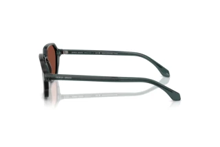 Vista laterale Giorgio Armani AR8220 (6171C5)