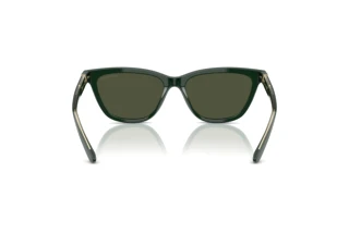 Vista posteriore Giorgio Armani AR8221 (617331)