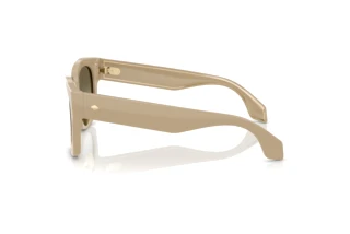 Vista laterale Giorgio Armani AR8223 (61618E)