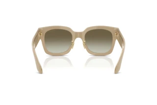 Vista posteriore Giorgio Armani AR8223 (61618E)