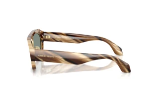 Vista laterale Giorgio Armani AR8239 (6065/1)