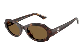 Vista frontale Giorgio Armani AR8245HU (587973)