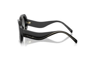 Vista laterale Giorgio Armani AR8248 (500111)