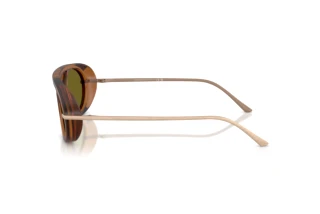 Vista laterale Giorgio Armani AR8256 (6410/2)