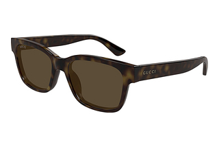 Gucci GG1716S 002 HAVANA