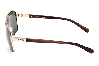Vista laterale Harley-Davidson HD00018 (32N)