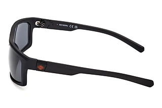 Vista laterale Harley-Davidson HD00023 (02A)