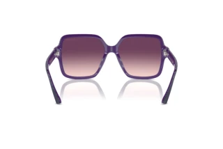 Vista posteriore Jimmy Choo JC5005 (50447W)