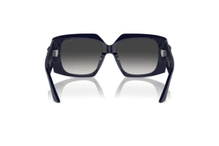 Vista posteriore Jimmy Choo JC5006U (50168G)