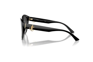 Vista laterale Jimmy Choo JC5007 (50008G)