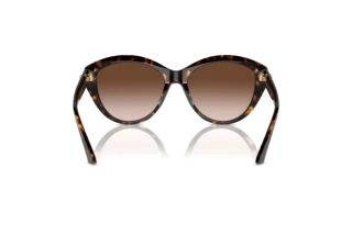 Vista posteriore Jimmy Choo JC5007 (500213)