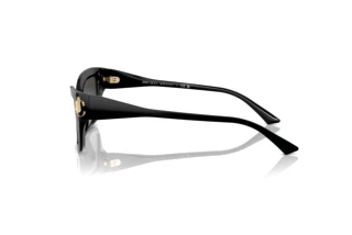 Vista laterale Jimmy Choo JC5011U (500087)