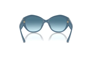 Vista posteriore Jimmy Choo JC5013U (502019)