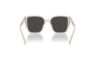 Vista posteriore Jimmy Choo JC5016D (500887)