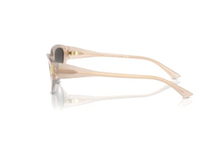 Vista laterale Jimmy Choo JC5019 (50258G)