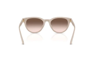 Vista posteriore Jimmy Choo JC5043D (50333B)